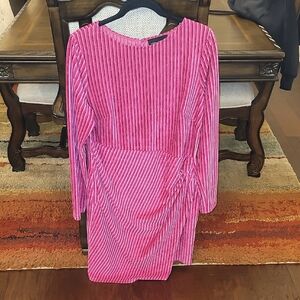 Donna Morgan Vibrant Pink Striped Dress
